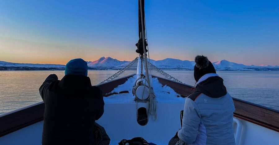 Tromsø: Luxury Polar Fjord Cruise w/ Hot Tub & Polar Plunge - Key details before you book