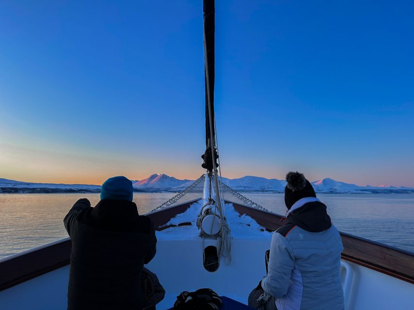 Tromsø: Luxury Polar Fjord Cruise w/ Hot Tub & Polar Plunge - Boarding Stella Oceana in Tromsø