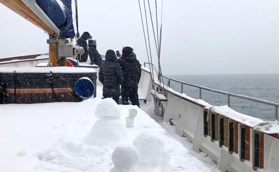 Tromsø: Luxury Polar Fjord Cruise w/ Hot Tub & Polar Plunge - Reindeer soup and a thoughtful lunch