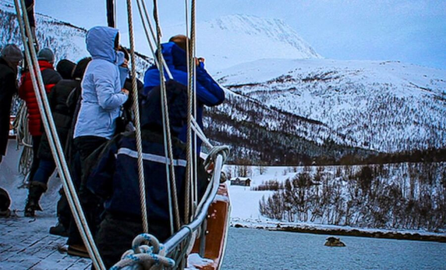 Tromsø: Luxury Polar Fjord Cruise w/ Hot Tub & Polar Plunge - Wildlife watching without false promises
