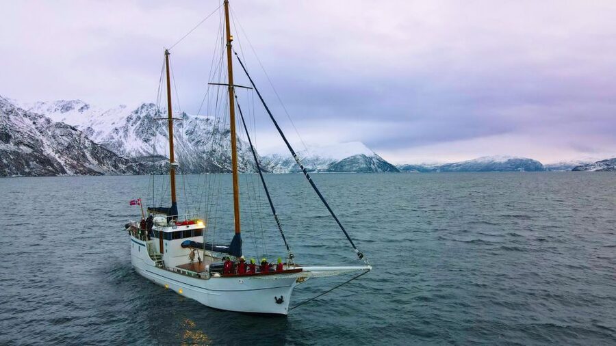 Tromsø: Luxury Polar Fjord Cruise w/ Hot Tub & Polar Plunge - Four and a half hours through Balsfjorden