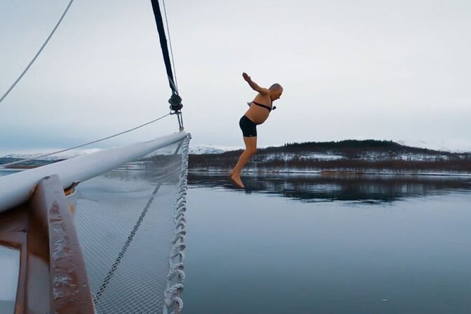 Tromso Luxury Sailing Yacht Polar Fjord Cruise with Lunch - Captain Kenneth, Sachi, and the human side