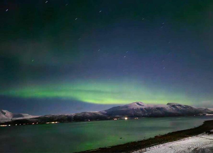 Tromsø: Lyngen Horse Winter Evening Riding Experience - Meeting the Lyngen horses in Krokelvdalen
