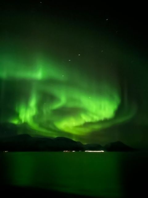Tromsø: Lyngen Horse Winter Evening Riding Experience - Riding beneath Tromsø’s dark-season sky