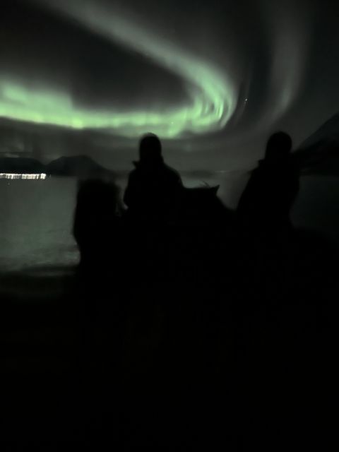 Tromsø: Lyngen Horse Winter Evening Riding Experience - What the three-hour itinerary feels like