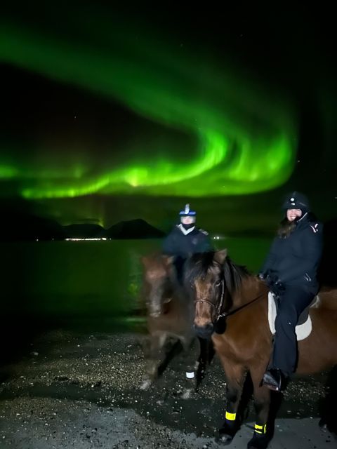 Tromsø: Lyngen Horse Winter Evening Riding Experience - Clothing matters more than style