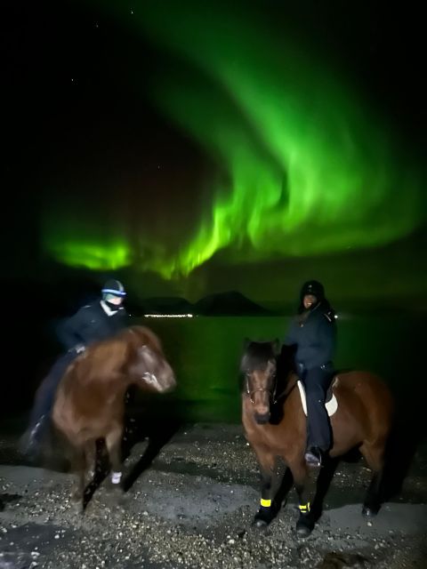 Tromsø: Lyngen Horse Winter Evening Riding Experience - Is $293 a fair price?