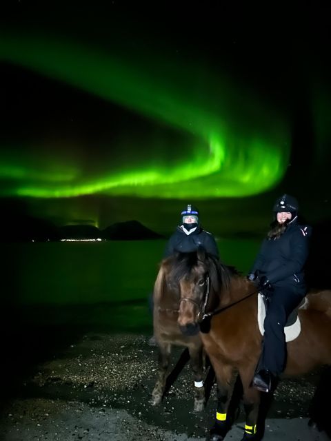Tromsø: Lyngen Horse Winter Evening Riding Experience - Who should choose this farm ride?