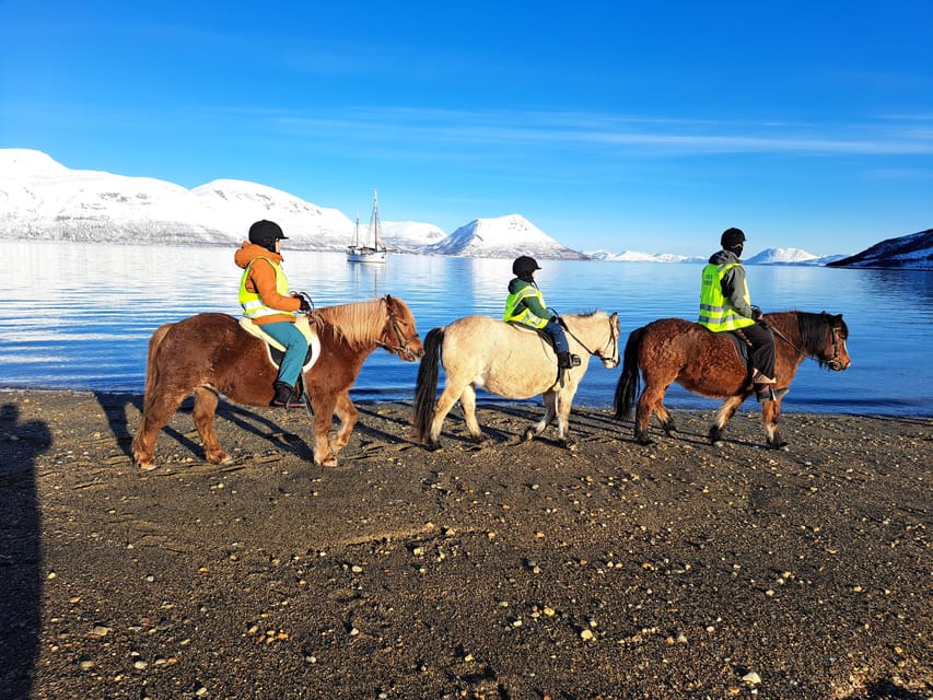 Tromsø: Lyngen Horse Winter Riding Experience - Key points to know before booking