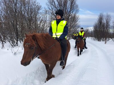 Lyngen Horse Winter Riding Experience