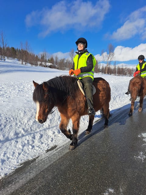 Tromsø: Lyngen Horse Winter Riding Experience - Returning to the stable