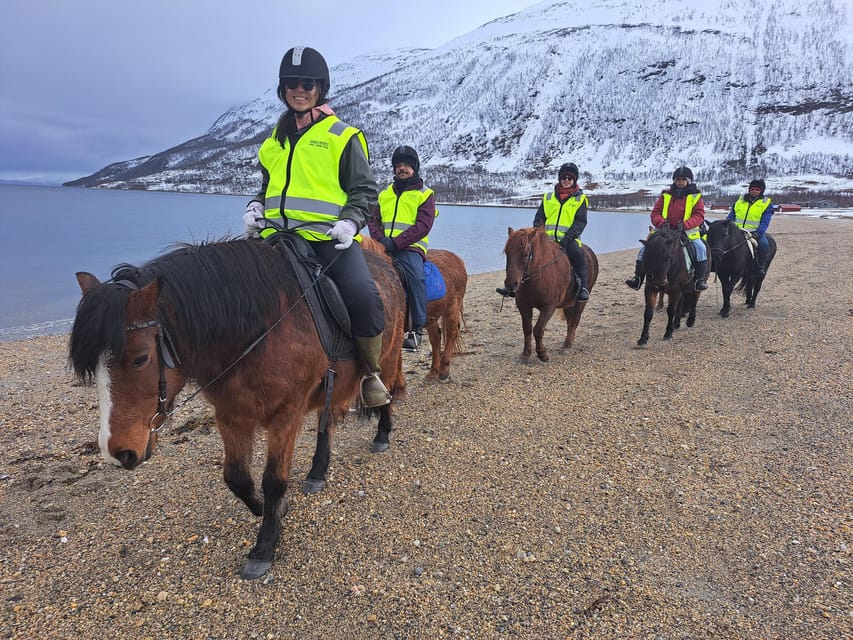 Tromsø: Lyngen Horse Winter Riding Experience - Winter conditions and practical preparation