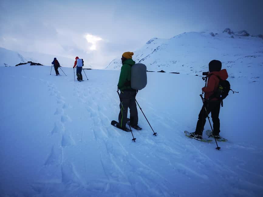 Tromsø: Midnight Fjord Tour - Key points to know before you book