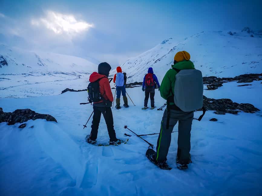 Tromsø: Midnight Fjord Tour - Why the Midnight Sun makes this tour different