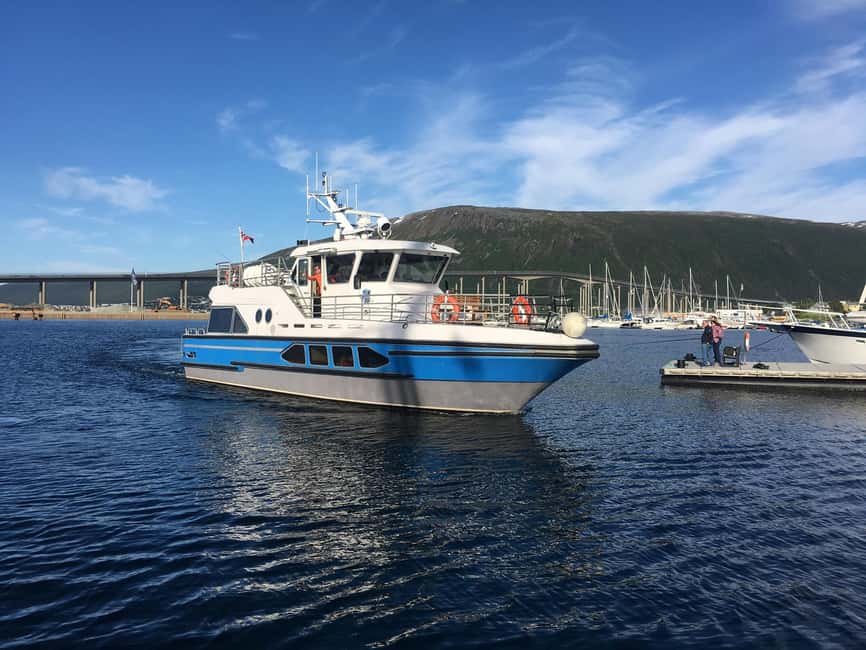 Tromsø: Midnight Sightseeing Cruise All-Inclusive - Key points to know before booking