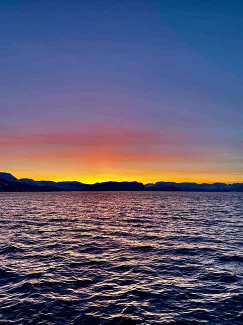 Tromsø: Midnight Sightseeing Cruise All-inclusive - Fishing under the sun at midnight