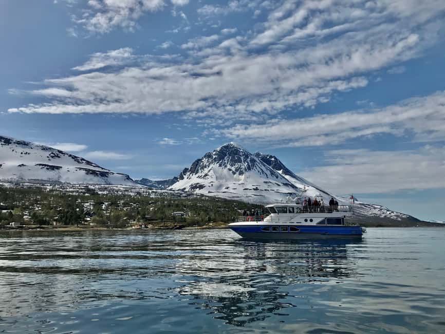 Tromsø: Midnight Sightseeing Cruise All-inclusive - What the $147 price really covers