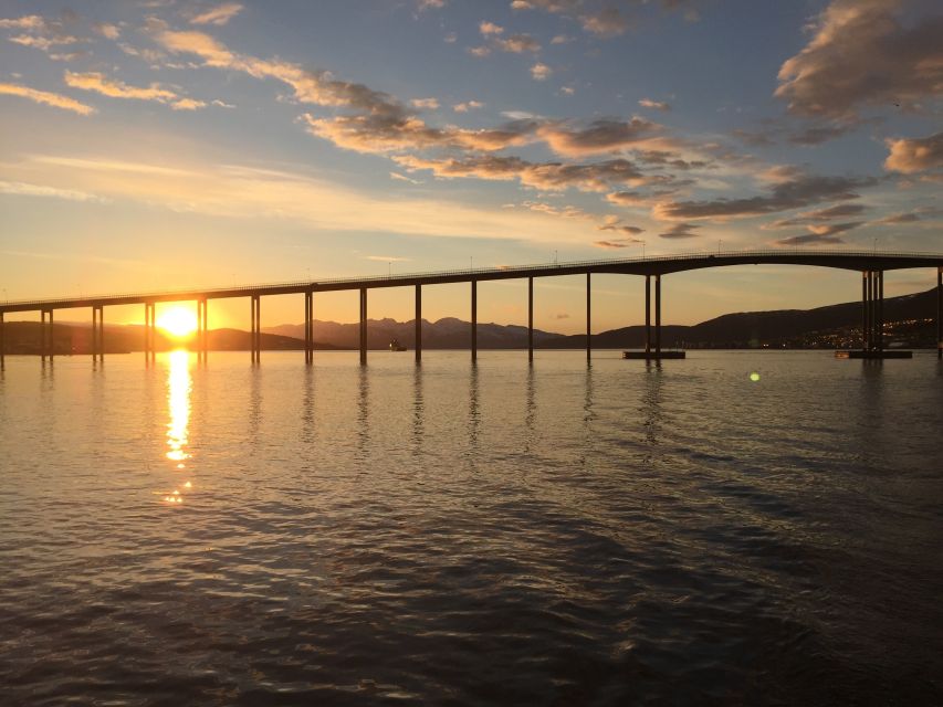 Tromsø: Midnight Sun Cruise in a Luxury Catamaran - Key things to know before booking