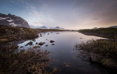 Midnight Sun Hike in the wilderness