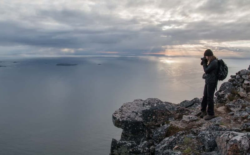 Tromsø: Midnight Sun Hike in the wilderness - Local plants, animals, and the value of a small group