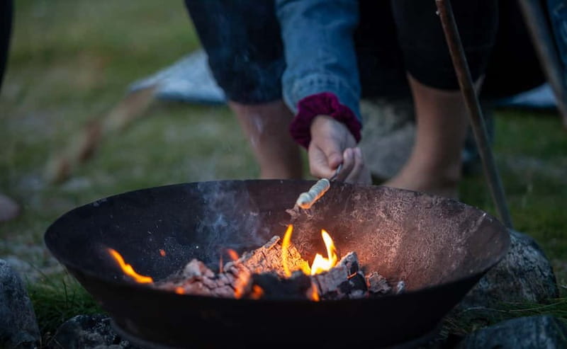 Tromsø: Midnight Sun with Campfire in the wilderness - Key points to know before booking