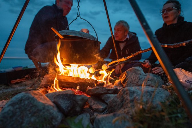Tromsø: Midnight Sun with Campfire with Wandering Owl - Is $150.07 a fair price?