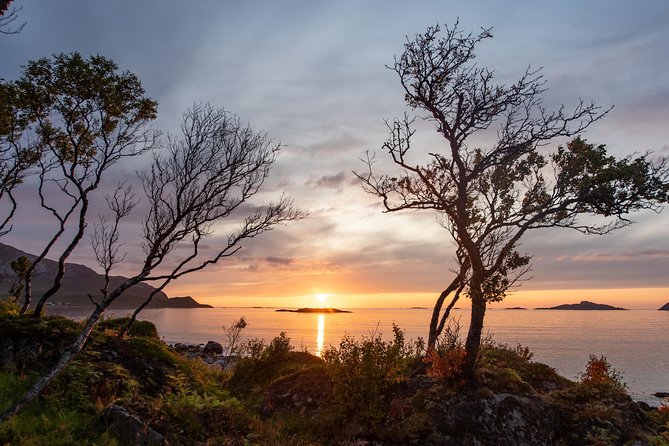 Tromsø: Midnight Sun with Campfire with Wandering Owl - Weather, clothing, and toilet reality