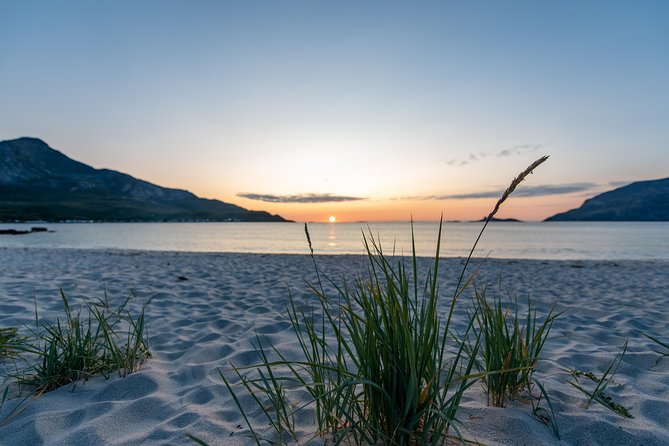 Tromsø: Midnight Sun with Campfire with Wandering Owl - Cancellation and minimum numbers