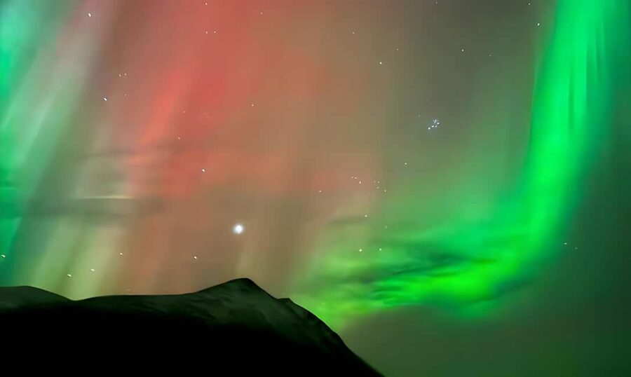 Tromsø: Northern Lights Adventure by Bus or Minibus - Campfire, cookies, and hot drinks