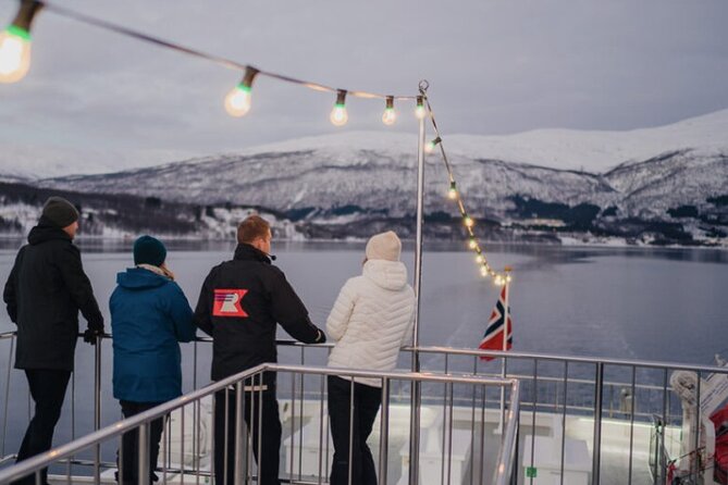 Tromsø, Northern Lights and Wilderness Evening Catamaran Cruise - When clouds and city light win