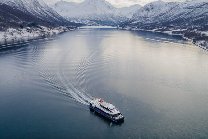 Tromsø, Northern Lights and Wilderness Evening Catamaran Cruise - Understanding the Northern Lights guarantee
