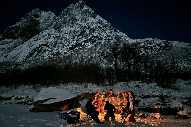 Tromsø: Northern Lights by Minibus - Free Photos and Warm Dinner - Free photos are a real part of the value