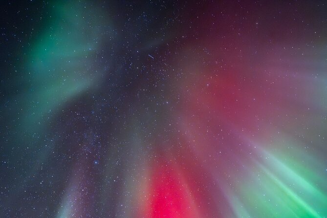 Tromsø: Northern Lights by Minibus - Free Photos and Warm Dinner - Is $237.43 good value?