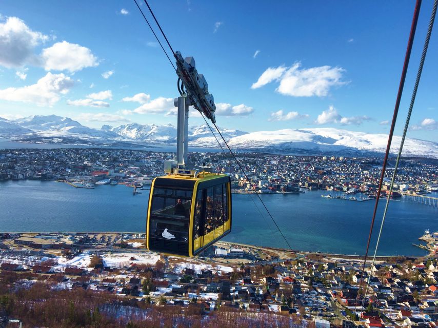 Tromso: Northern Lights Cable Car Excursion - Starting beside Tromsø Cathedral