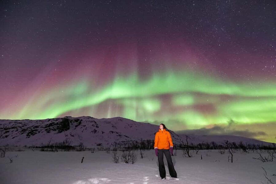 Tromsø: Northern Lights Chase by a comfortable bus - Hot drinks, cookies, and the practical side of waiting