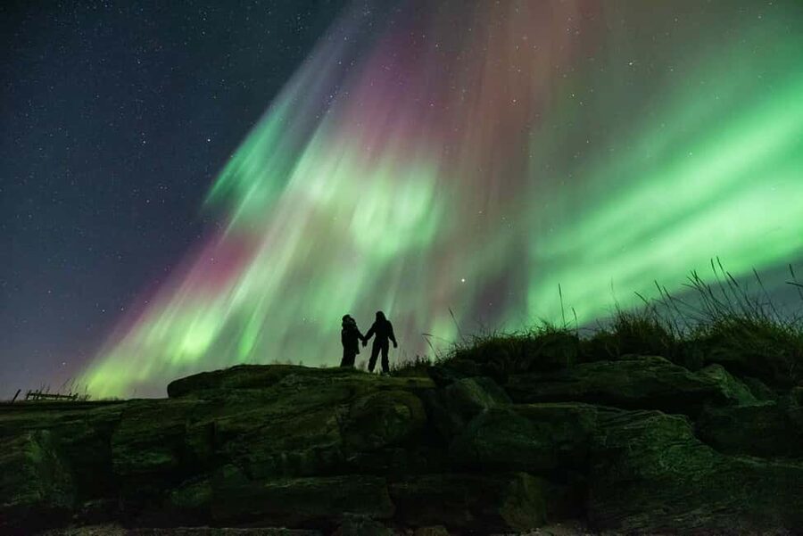 Tromsø: Northern Lights Chase by a comfortable bus - Who will get the most from this tour?