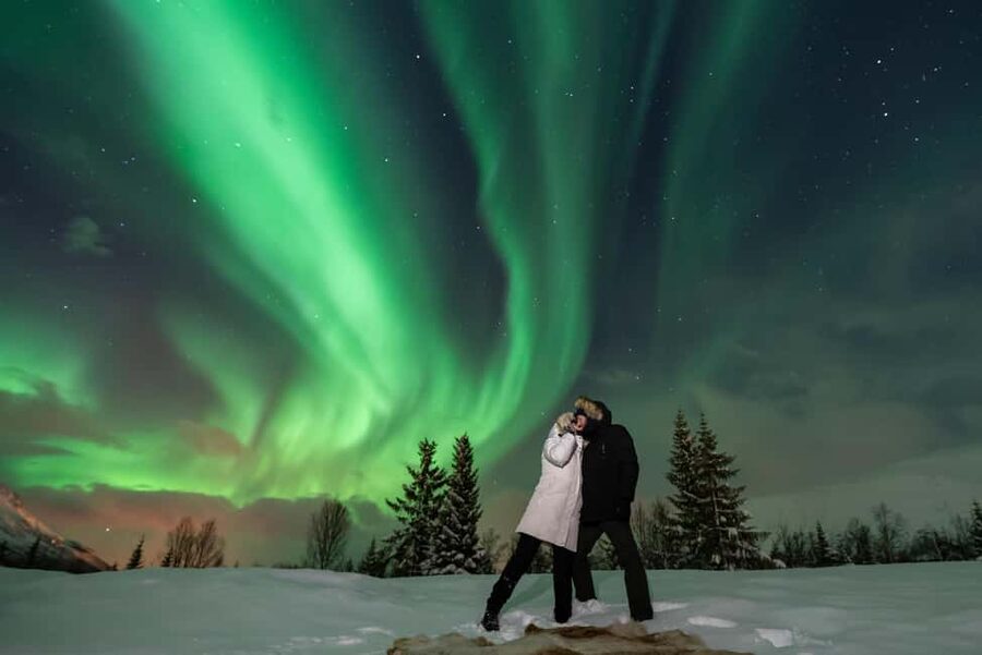 Tromsø: Northern Lights Chase by a comfortable bus - Two hours by bus into the Arctic night