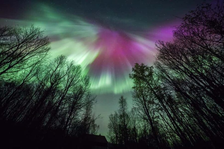 Tromsø: Northern Lights Chase + Free Professional Photos - The return journey to Tromsø
