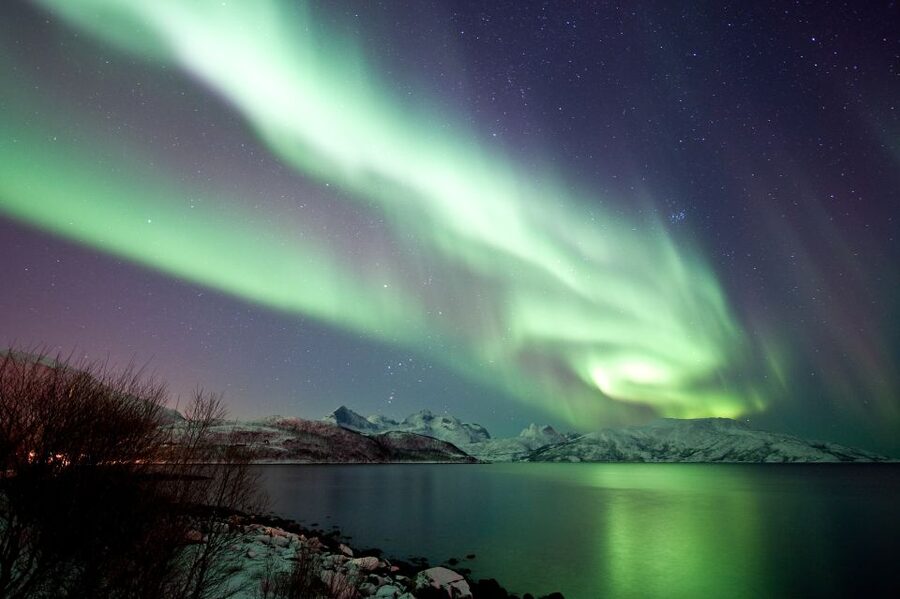 Tromsø: Northern Lights Cruise with 2nd Chance Guarantee - Meeting the catamaran behind Nerstranda