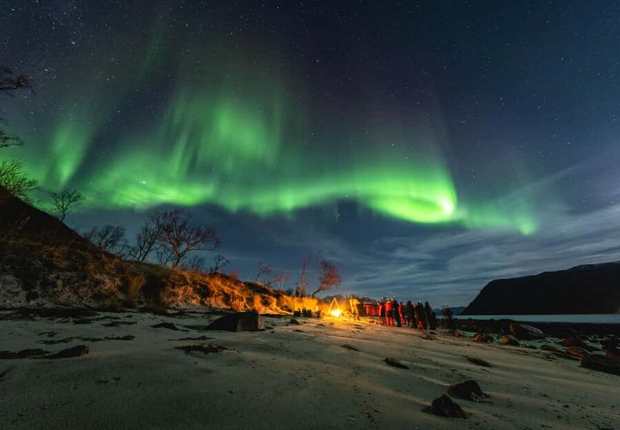 Tromsø: Northern Lights Focus Tour, German/English, minibus, meal - Why this Tromsø aurora tour is different