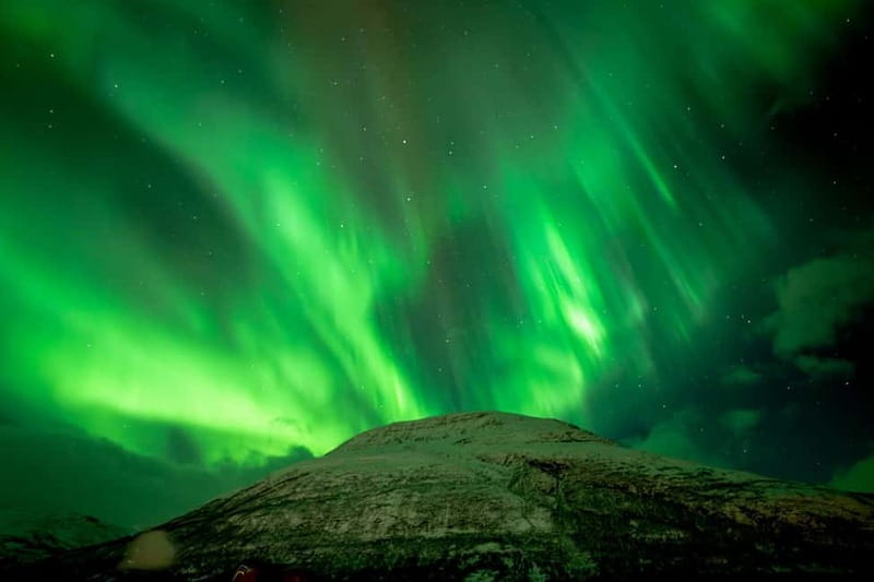 Tromsø: Northern Lights Focus Tour, German/English, minibus, meal - Finding the first clear patch of sky