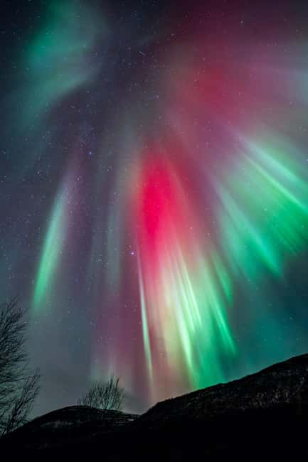 Tromsø: Northern Lights Focus Tour, German/English, minibus, meal - Photography with tripods and proper settings