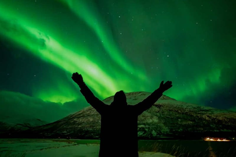 Tromsø: Northern Lights Focus Tour, German/English, minibus, meal - Campfire soup, hot drinks, and Arctic patience