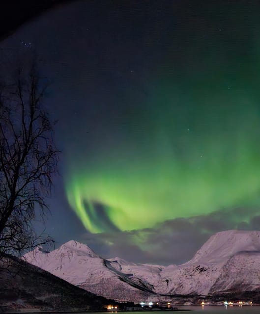 Tromsø: Northern Lights Hunt. Local Guide and Basecamp. - Starting at Magic Ice Bar and leaving Tromsø