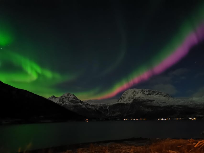 Tromsø: Northern Lights Hunt. Local Guide and Basecamp. - Who will enjoy this most?
