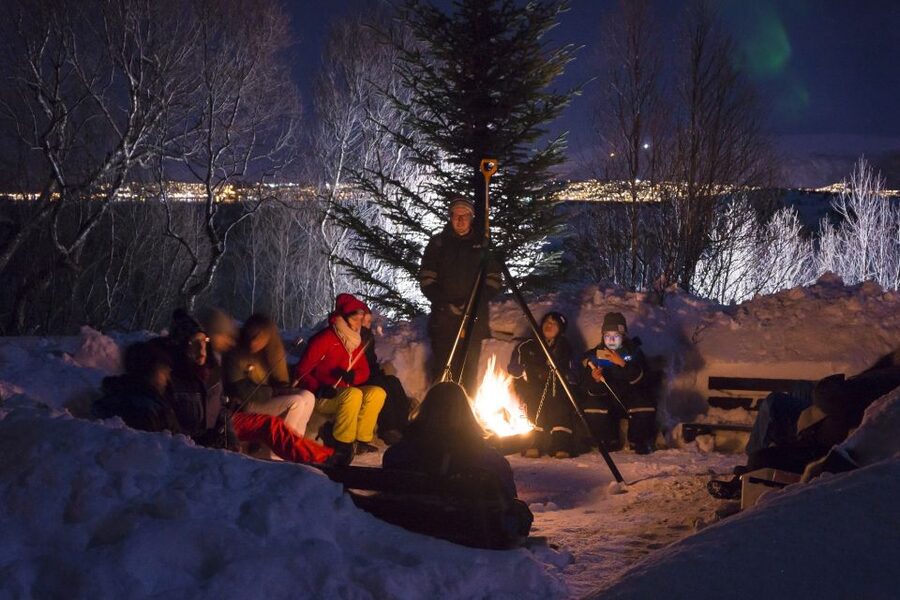 Tromsø: Northern Lights Husky Visit with Traditional Dinner - Key things to know before booking
