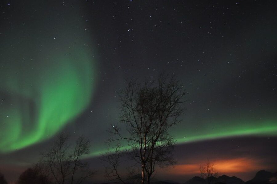 Tromsø: Northern Lights Husky Visit with Traditional Dinner - Warm clothing, muddy paws, and puppy time
