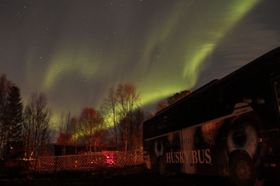 Tromsø: Northern Lights Husky Visit with Traditional Dinner - My verdict: book it for the complete evening