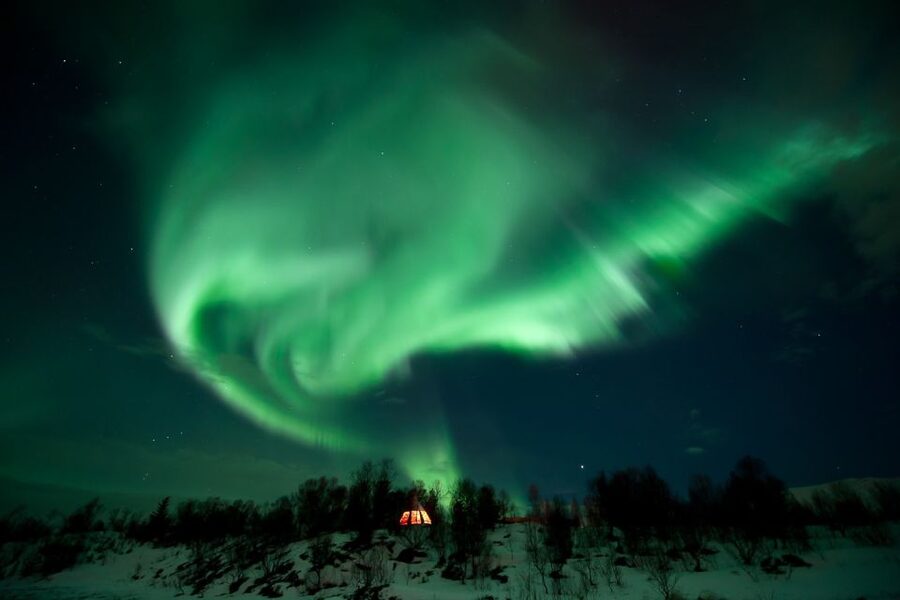 Tromsø: Northern Lights Husky Visit with Traditional Dinner - Meeting the 200 Alaskan huskies