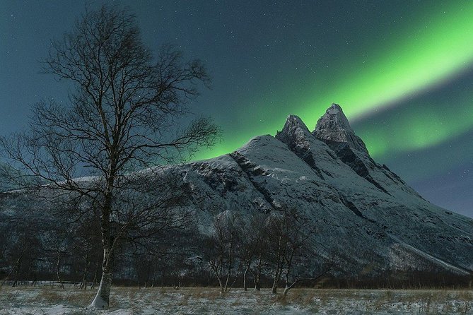 Tromso Northern Lights Minibus Chase Small Group Tour with Photos - Waiting beside a fire in the snow